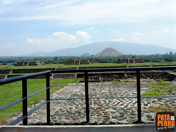piramides teotihuacan mexico pata de perro 8