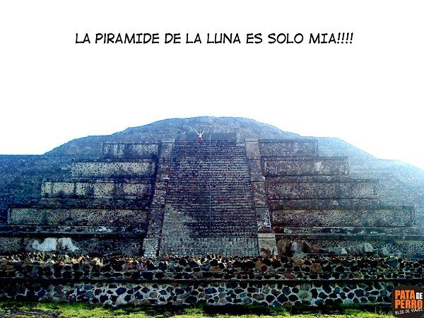 sola-en-la-piramide-de-la-luna pata de perro mexico teotihuacan