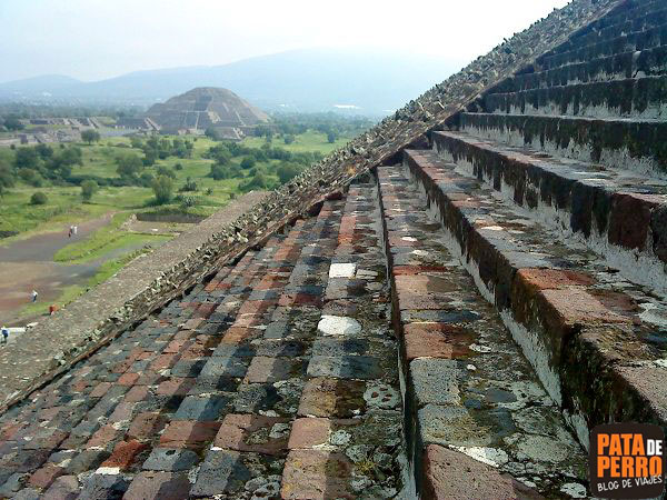 teotihuacan-piramides-mexico-pata-de-perro-5
