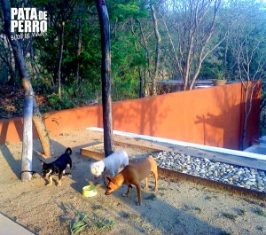 casa mermejita mazunte oaxaca mexico pata de perro blog de viajes2