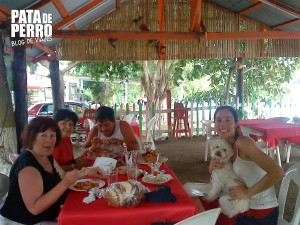 restaurante rio huitzilapan antigua veracruz mexico pata de perro blog de viajes