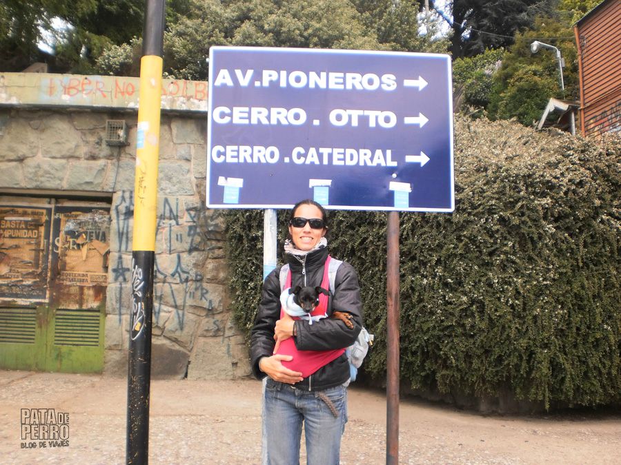 viajar con lupita en una argentina que no acepta perros11
