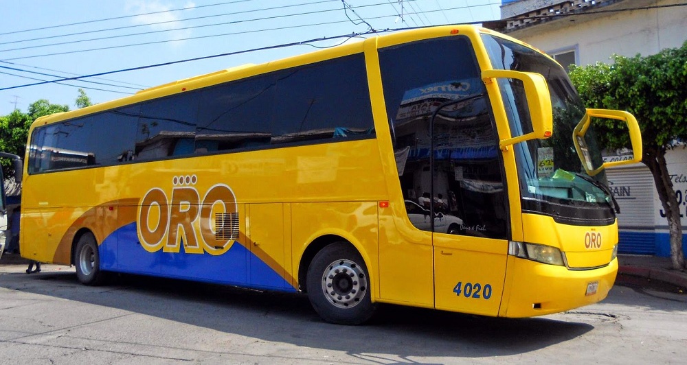viajar con perros en autobus en mexico pata de perro blog de viajes puebla autobuses oro cuernavaca tlaxcala guerrero02