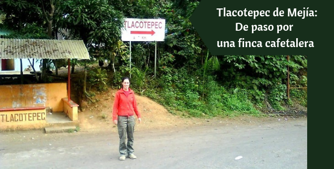Tlacotepec: De paso por una finca cafetalera