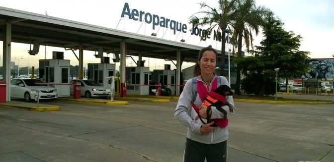 Viajar con perros en la cabina del avión fuera de Argentina (Parte 2: El día del vuelo)