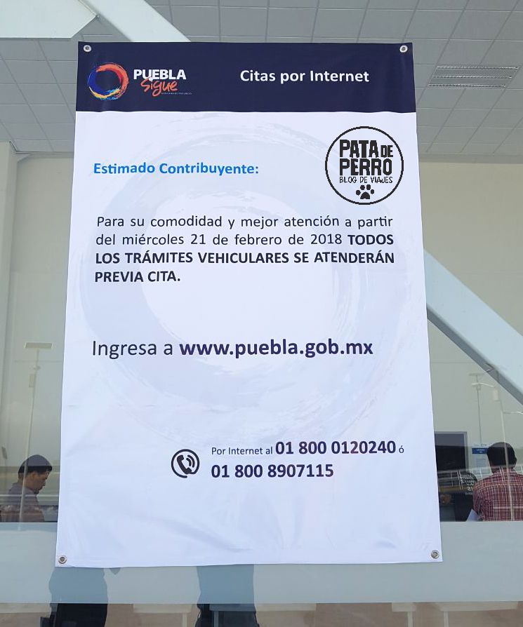 Canje de Tarjeta de Circulación 2018 en Puebla  Pata de Perro