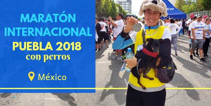 Maratón Internacional Puebla 2018 con perros